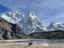 kanchenjunga trek
