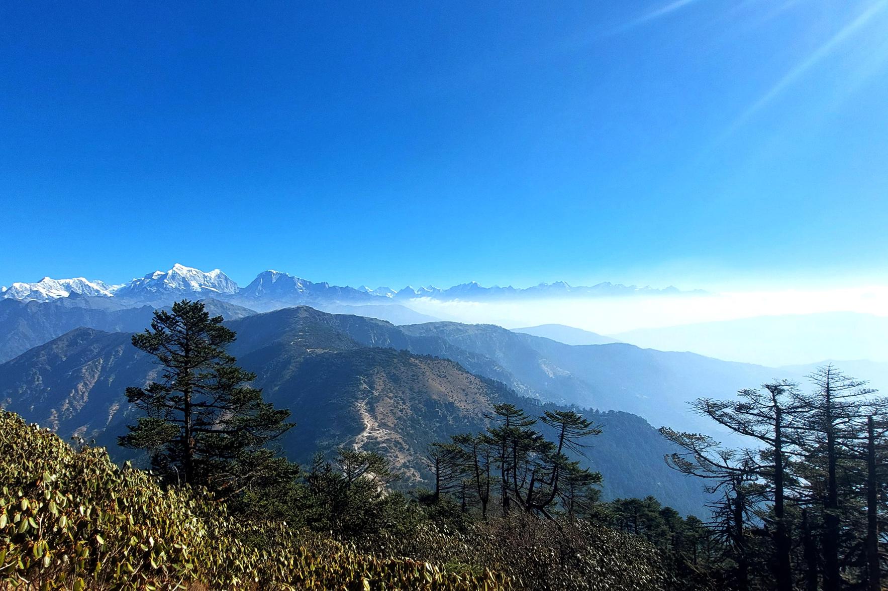 pickeypeka_trek